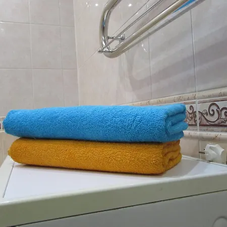 Apartment Olshevskogo 17 *
