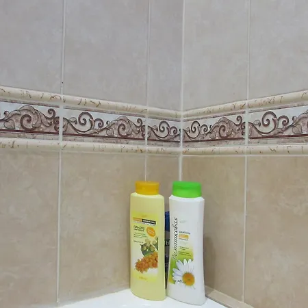 Olshevskogo 17 Apartment *