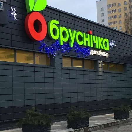 Olshevskogo 17 Apartment *